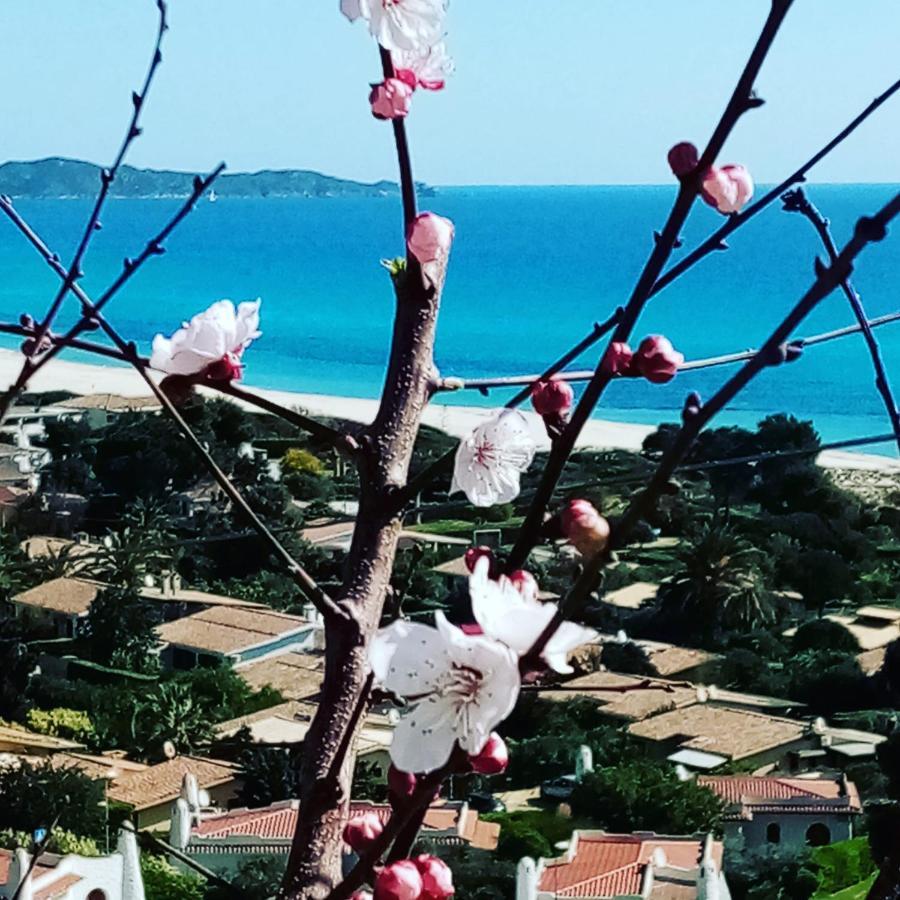 La Terrazza Sull'Alba Villa Costa Rei Buitenkant foto